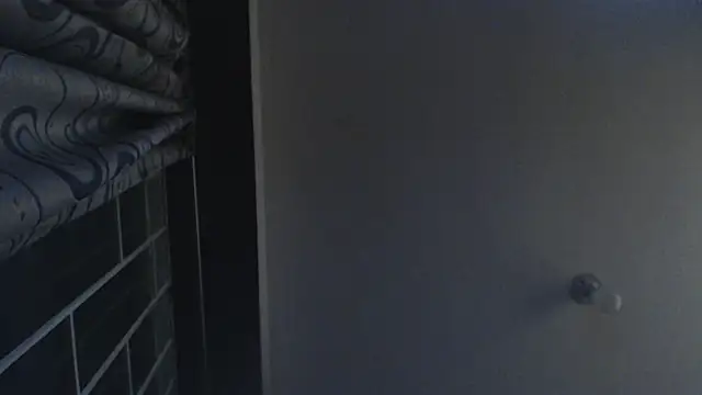 Snapshot of Regina_Iris chatting on April 18, 12:25 am Regina Iris online show from April 18, 12:25 am