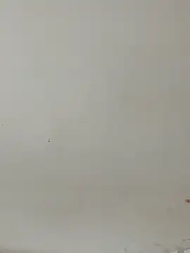 Sana-151 online show from March 17, 9:12 am