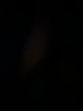 amartinezszz online show from March 15, 8:53 am