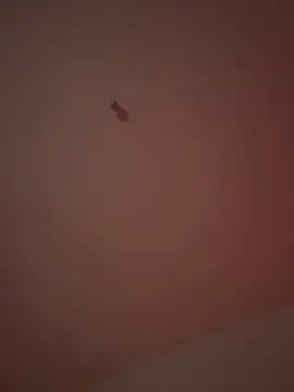 21cm19 online show from March 29, 1:05 am