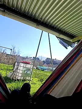 freedick93 online show from March 17, 1:58 pm