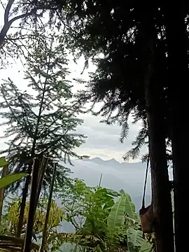 NIANIAKUTE online show from May 23, 7:35 am