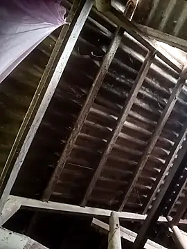 Nthk6 online show from March 18, 6:05 am