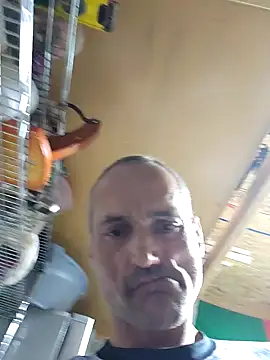 Snapshot of Brunogramata chatting on March 20, 3:44 am Brunogramata online show from March 20, 3:44 am