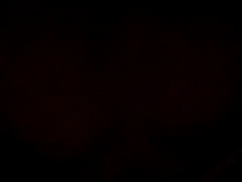 17Komodo online show from May 14, 4:58 pm