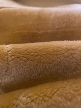 Snapshot of Ashwak_trans chatting on April 4, 12:02 pm Ashwak trans online show from April 4, 12:02 pm