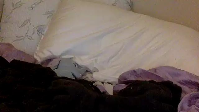 Snapshot of savannabanana chatting on March 26, 3:34 am savannabanana online show from March 26, 3:34 am