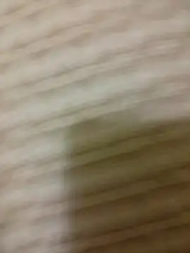 Snapshot of SteedyGee chatting on April 15, 8:31 pm SteedyGee online show from April 15, 8:31 pm