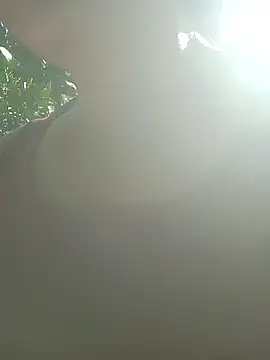 Snapshot of jikey-bibi chatting on May 14, 9:16 am jikey-bibi online show from May 14, 9:16 am