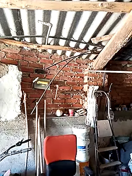 mecaloco online show from April 5, 11:29 am