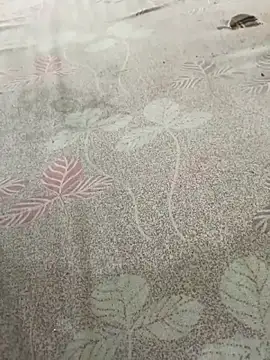 pujaji098 online show from April 13, 4:07 am