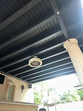 youngwildfreee online show from April 9, 8:25 pm