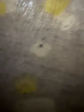 Snapshot of xezie chatting on April 10, 9:58 am xezie online show from April 10, 9:58 am