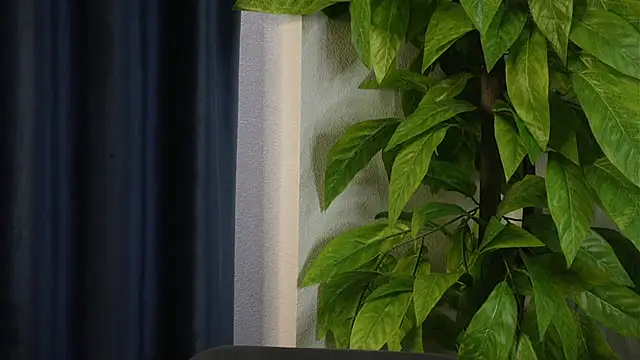 SelmaHjort online show from April 27, 11:52 am