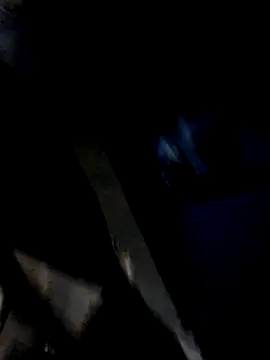 Snapshot of pasivagordita chatting on July 4, 9:37 am pasivagordita online show from July 4, 9:37 am