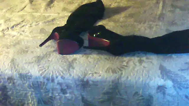 Snapshot of Cuginetti chatting on May 18, 7:31 pm Cuginetti online show from May 18, 7:31 pm
