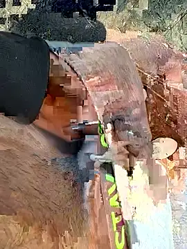 Wolf 18cm online show from April 28, 2:22 pm