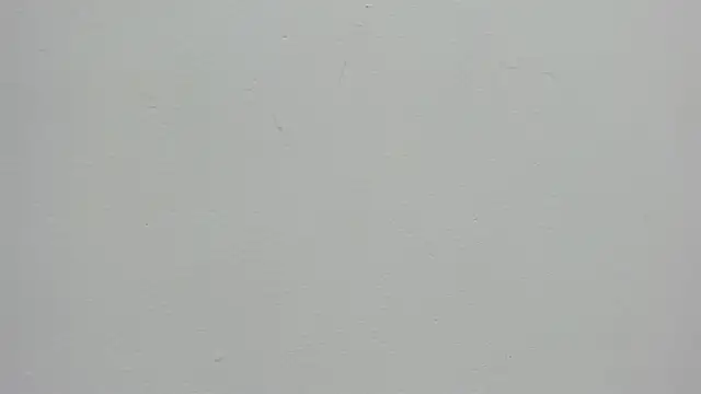 Daphne Leia online show from May 8, 7:08 pm