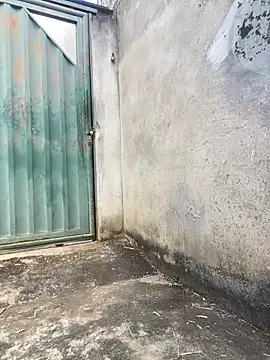 Eu line online show from April 27, 11:30 am