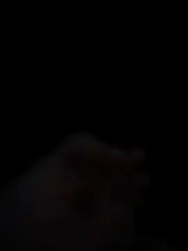 Snapshot of HayleyRoss_ chatting on July 4, 12:00 pm HayleyRoss online show from July 4, 12:00 pm