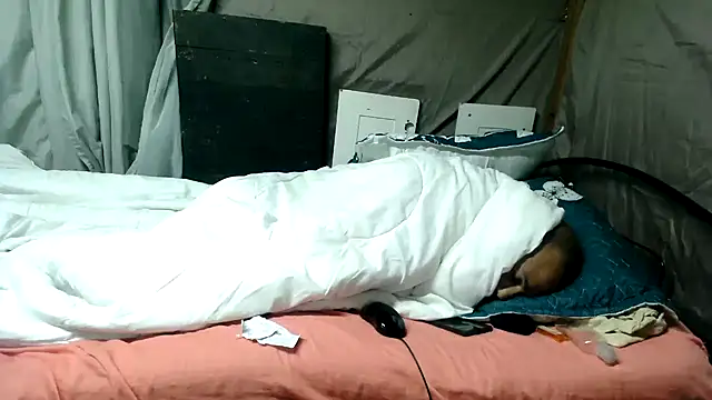 Snapshot of Camodick chatting on June 12, 1:26 am Camodick online show from June 12, 1:26 am
