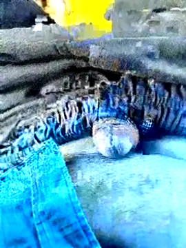indiandeshi online show from June 24, 2:21 am