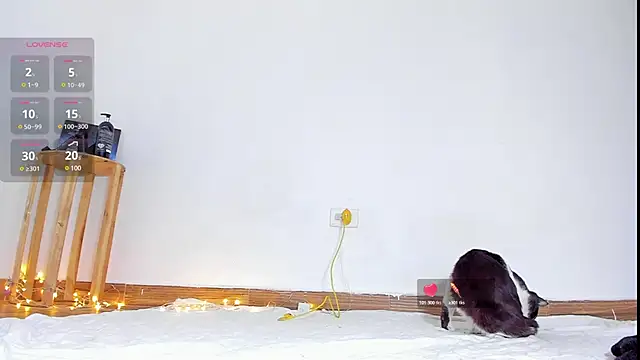 abilX online show from January 24, 1:57 pm