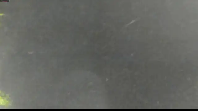 Snapshot of justin_lenox chatting on June 1, 12:01 am justin lenox online show from June 1, 12:01 am