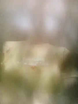 Snapshot of _Nami-squirt chatting on July 14, 11:38 am Nami-squirt online show from July 14, 11:38 am