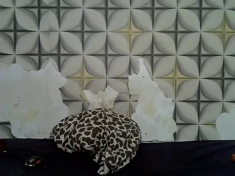 Snapshot of fine_grap chatting on June 23, 5:05 am fine grap online show from June 23, 5:05 am