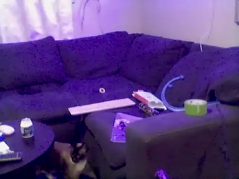 Pbluntz90 online show from July 23, 2:42 am