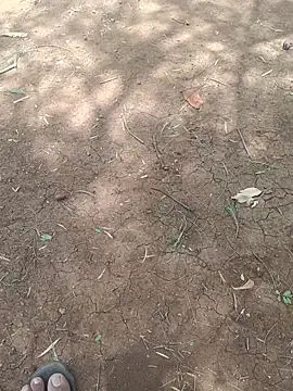Snapshot of adil_cute chatting on June 5, 7:36 am adil cute online show from June 5, 7:36 am