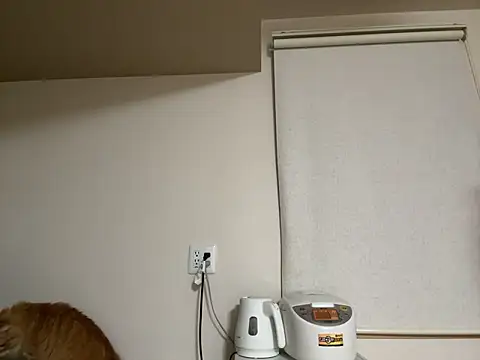 Snapshot of ramu_Gcup chatting on June 5, 11:05 am ramu Gcup online show from June 5, 11:05 am