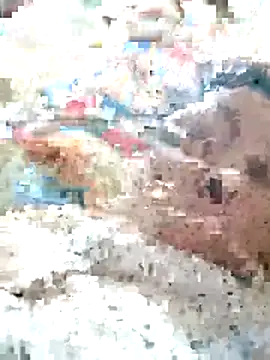 Snapshot of Orio-baby chatting on May 31, 8:10 pm Orio-baby online show from May 31, 8:10 pm
