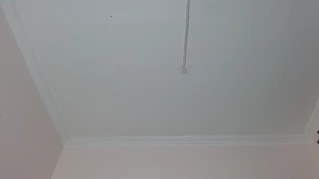 Snapshot of amara_sanchez chatting on July 8, 1:04 pm amara sanchez online show from July 8, 1:04 pm