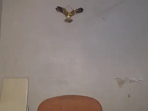 Snapshot of Frank_X_Husle chatting on July 9, 6:56 pm Frank X Husle online show from July 9, 6:56 pm