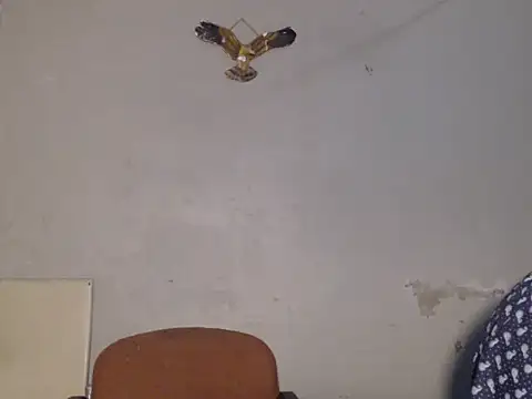 Snapshot of Frank_X_Husle chatting on July 13, 9:50 pm Frank X Husle online show from July 13, 9:50 pm