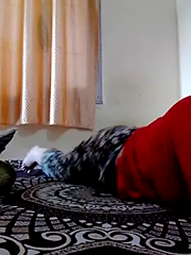 Sexy tanvi011 online show from July 13, 9:12 am