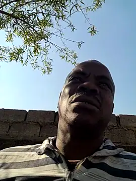Rod Gorilla online show from July 6, 12:02 pm