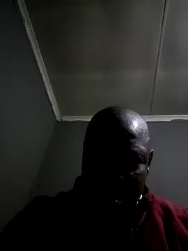 Rod Gorilla online show from July 18, 6:23 pm