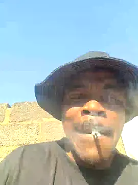 Rod Gorilla online show from July 26, 7:04 am