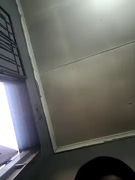 Rod Gorilla online show from July 27, 3:52 pm