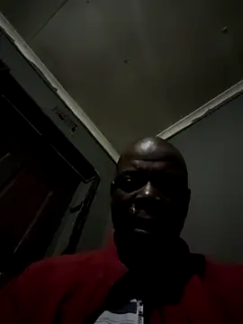 Rod Gorilla online show from August 3, 4:11 pm