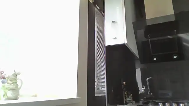 Snapshot of Velissada chatting on July 4, 2:56 pm Velissada online show from July 4, 2:56 pm