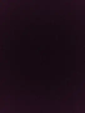 Snapshot of noirlynnexo chatting on August 6, 8:44 pm noirlynnexo online show from August 6, 8:44 pm