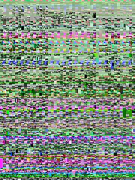 17cm-duchu online show from July 20, 2:30 pm