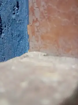 Snapshot of Vengalarga_244216 chatting on August 7, 10:17 am Vengalarga 244216 online show from August 7, 10:17 am