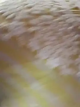 sexy vijaya online show from July 22, 6:27 am