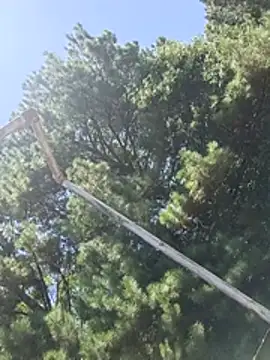 Snapshot of bestsolos chatting on July 28, 6:20 pm bestsolos online show from July 28, 6:20 pm