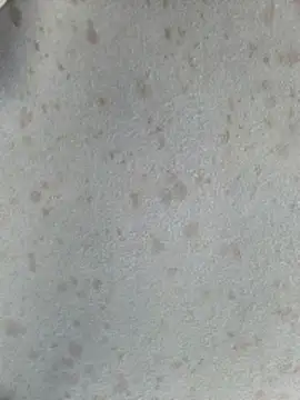 415cali925 online show from March 17, 6:55 pm